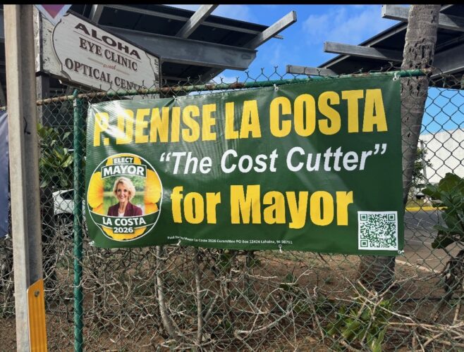 Mayoral candidate says campaign signs have been taken